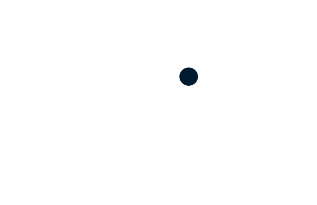 Vizyon